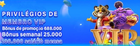 Provedores Cassino Ao Vivo